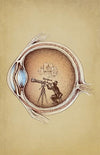 Extraordinary Observer Posters by Enkel Dika - Pixel Empire