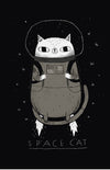 Space Cat Posters by Louis Roskosch - Pixel Empire