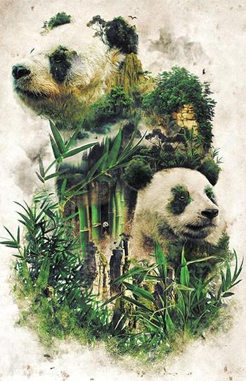 Panda Montage Posters by Barrett Biggers - Pixel Empire