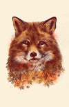 The Red Fox Posters by Dan Elijah Fajardo - Pixel Empire