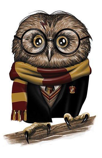 Owly Potter Posters by Vincent Trinidad - Pixel Empire
