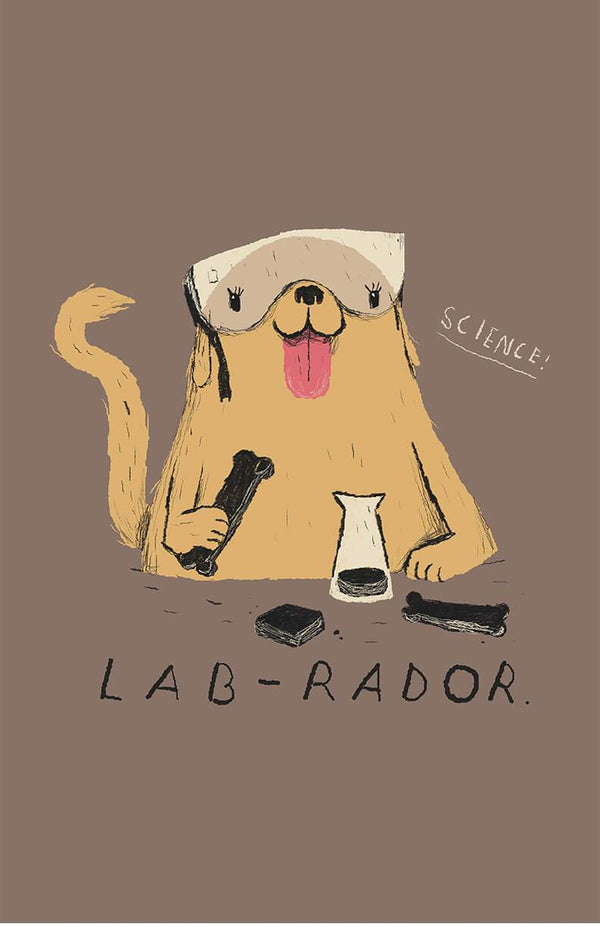 Lab-rador Posters by Louis Roskosch - Pixel Empire