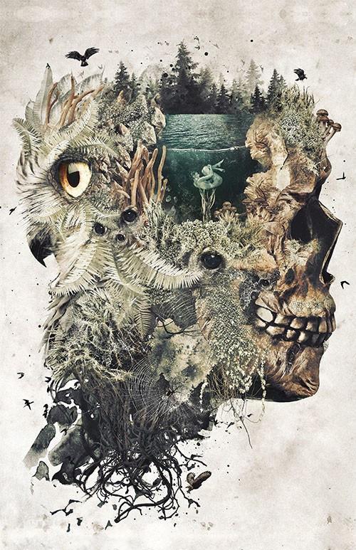 Forest Dream Posters by Barrett Biggers - Pixel Empire