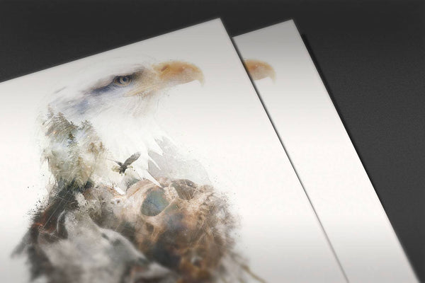 Eagle Has Landed Posters by Barrett Biggers - Pixel Empire