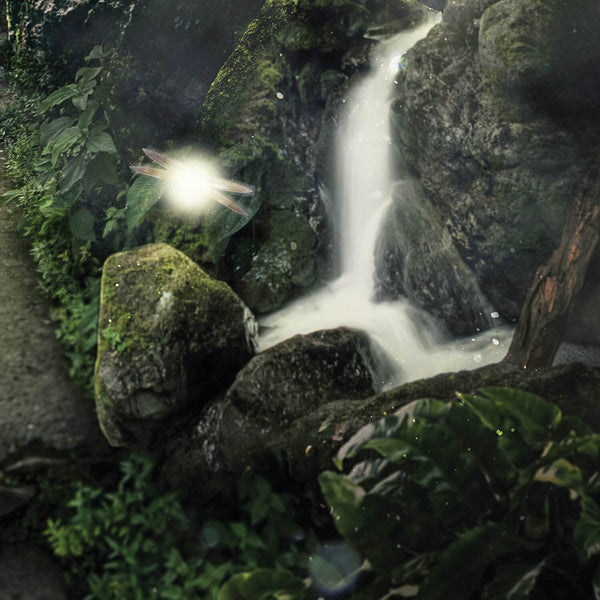 Master Sword Forest Posters by Barrett Biggers - Pixel Empire