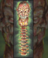 Spine Fatality Set - 11.75x36 Posters by Cody James by Cody - Pixel Empire