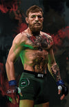 Connor Mcgregor Posters by Dmitry Belov - Pixel Empire