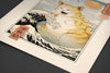 Catzilla Ukiyo-e Posters by Vincent Trinidad - Pixel Empire