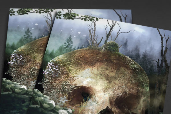 In The Garden Of Curiosity Posters by Barrett Biggers - Pixel Empire