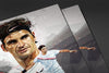 Roger Federer Posters by Dmitry Belov - Pixel Empire