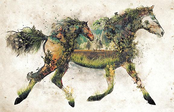 Horsey Posters by Barrett Biggers - Pixel Empire