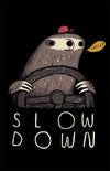 Slow Down Posters by Louis Roskosch - Pixel Empire