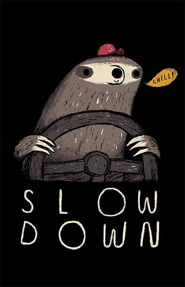 Slow Down Posters by Louis Roskosch - Pixel Empire