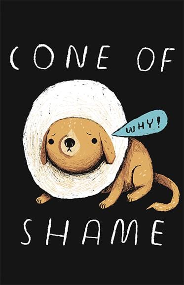 Cone of Shame Posters by Louis Roskosch - Pixel Empire