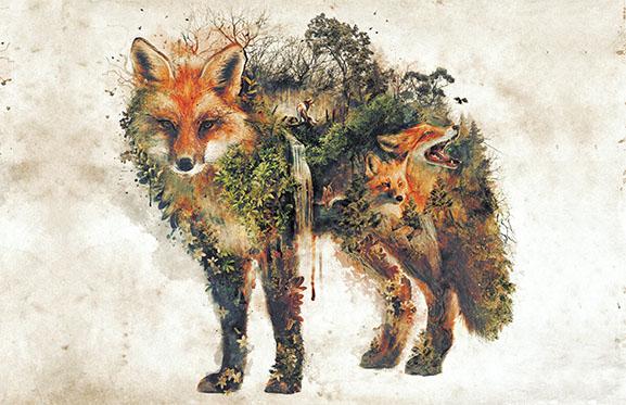 Fox Nature Posters by Barrett Biggers - Pixel Empire