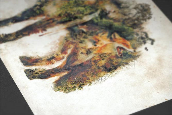 Fox Nature Posters by Barrett Biggers - Pixel Empire