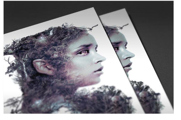 Lady of the Dark Wood Posters by Barrett Biggers - Pixel Empire