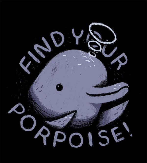 Find Your Porpoise Hoodies by Louis Roskosch - Pixel Empire