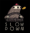 Slow Down Hoodies by Louis Roskosch - Pixel Empire