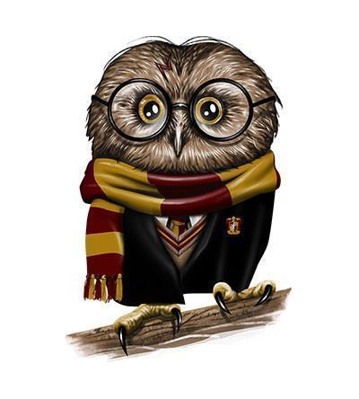 Owly Potter Hoodies by Vincent Trinidad - Pixel Empire