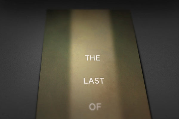 The Last of Us Posters by Dylan West - Pixel Empire